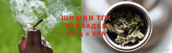 твердый Инсар