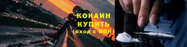 эйфоретик Белокуриха