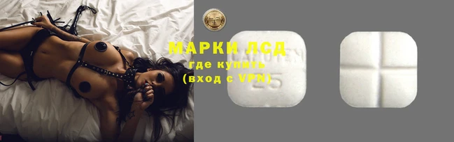 эйфоретик Белокуриха