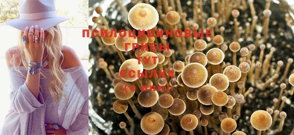 трава Белоозёрский